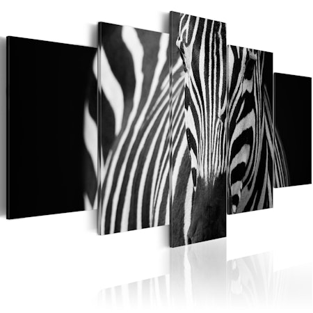 Ljuddämpande Tavla - Zebra look