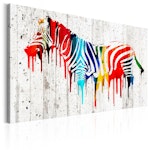 Ljuddämpande Tavla - Colourful Zebra