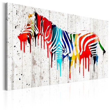 Ljuddämpande Tavla - Colourful Zebra