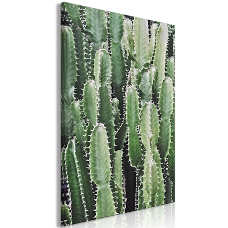 Ljuddämpande Tavla - Cactus Garden (1 Part) Vertical