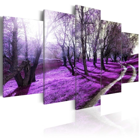 Ljuddämpande Tavla - Lavender orchard