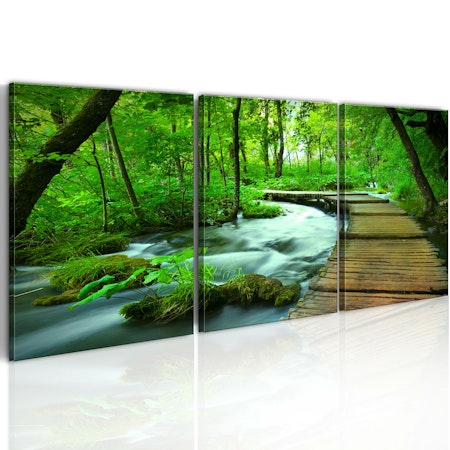 Ljuddämpande Tavla - Forest broadwalk - triptych