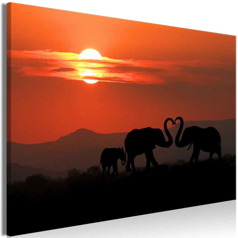 Ljuddämpande Tavla - Elephants in Love (1 Part) Wide