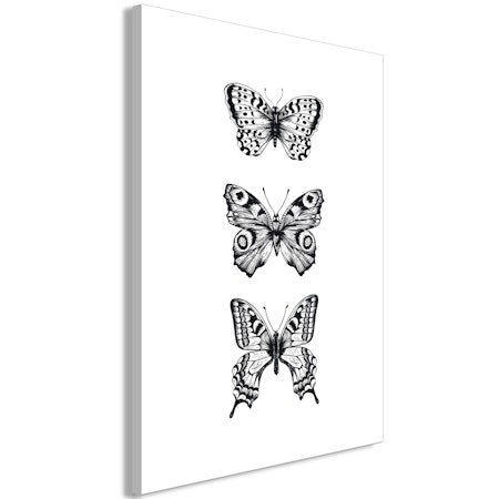 Ljuddämpande Tavla - Three Butterflies (1 Part) Vertical