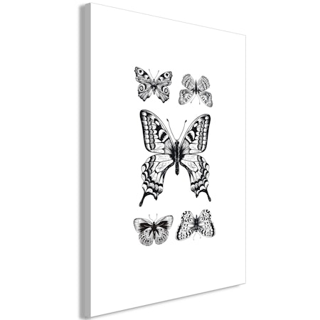 Ljuddämpande Tavla - Five Butterflies (1 Part) Vertical