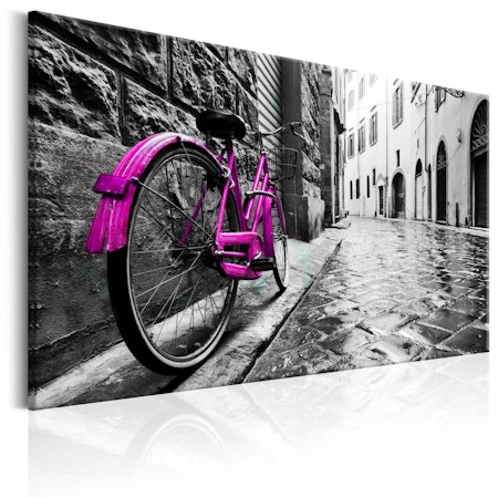 Ljuddämpande Tavla - Vintage Pink Bike