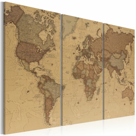 Ljuddämpande Tavla - Stylish World Map