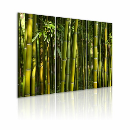 Ljuddämpande Tavla - Green bamboo