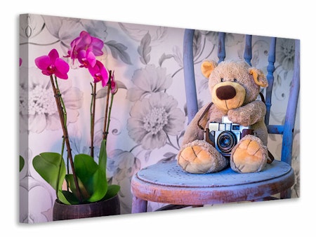 Ljuddämpande tavla - camera teddy bear