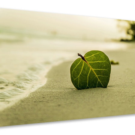 Ljuddämpande tavla - beach leaf