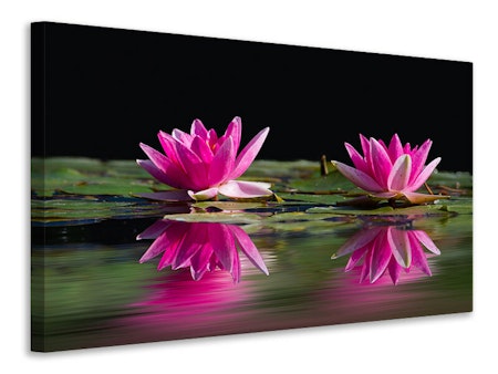 Ljuddämpande tavla - water lilies duo in pink