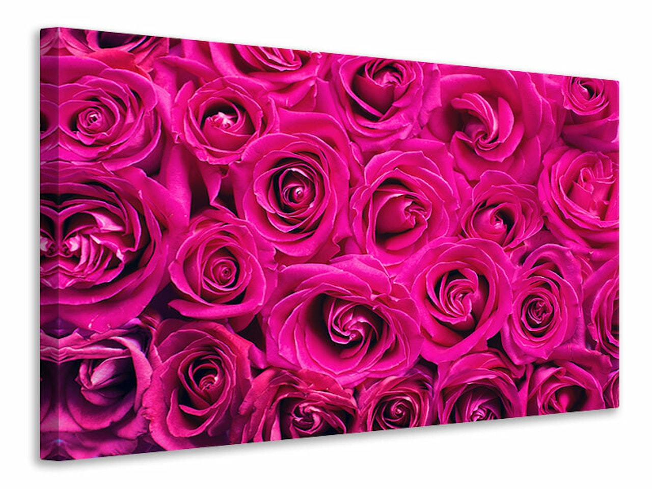 Ljuddämpande tavla - rose petals in pink