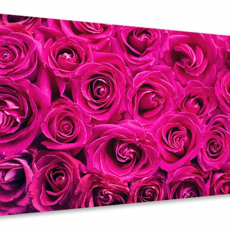 Ljuddämpande tavla - rose petals in pink