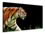 Ljuddämpande tavla - imposing tiger