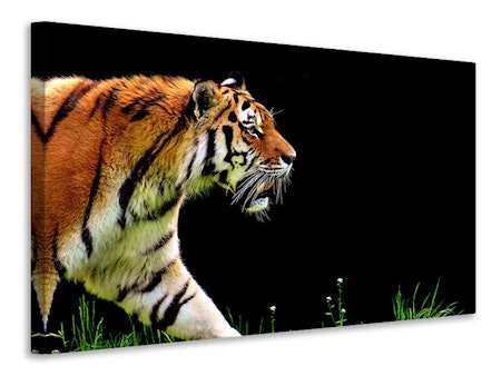 Ljuddämpande tavla - imposing tiger