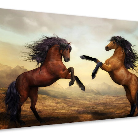 Ljuddämpande tavla - two wild horses