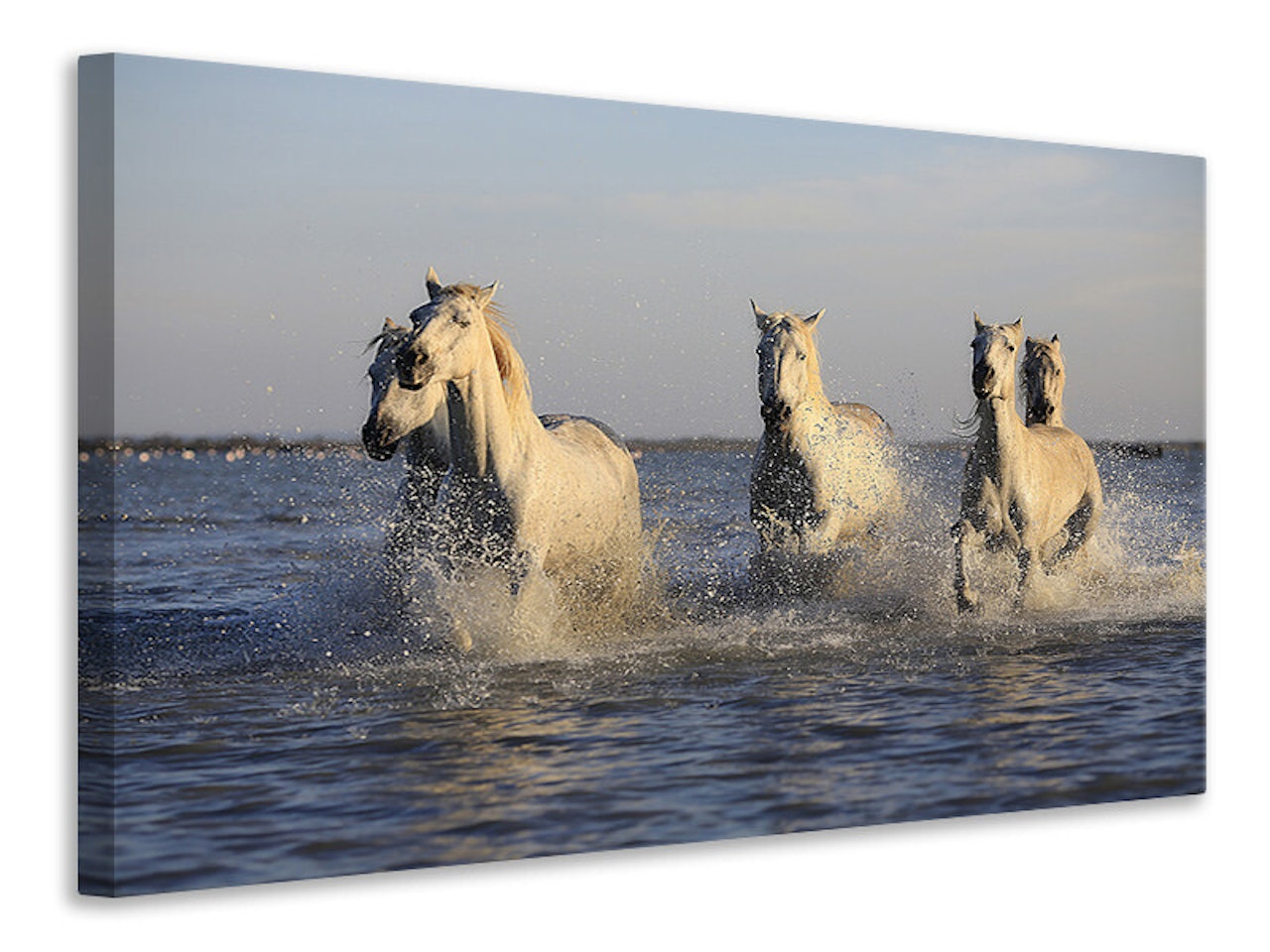 Ljuddämpande tavla - horses in the sea