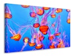 Ljuddämpande tavla - colorful jellyfish