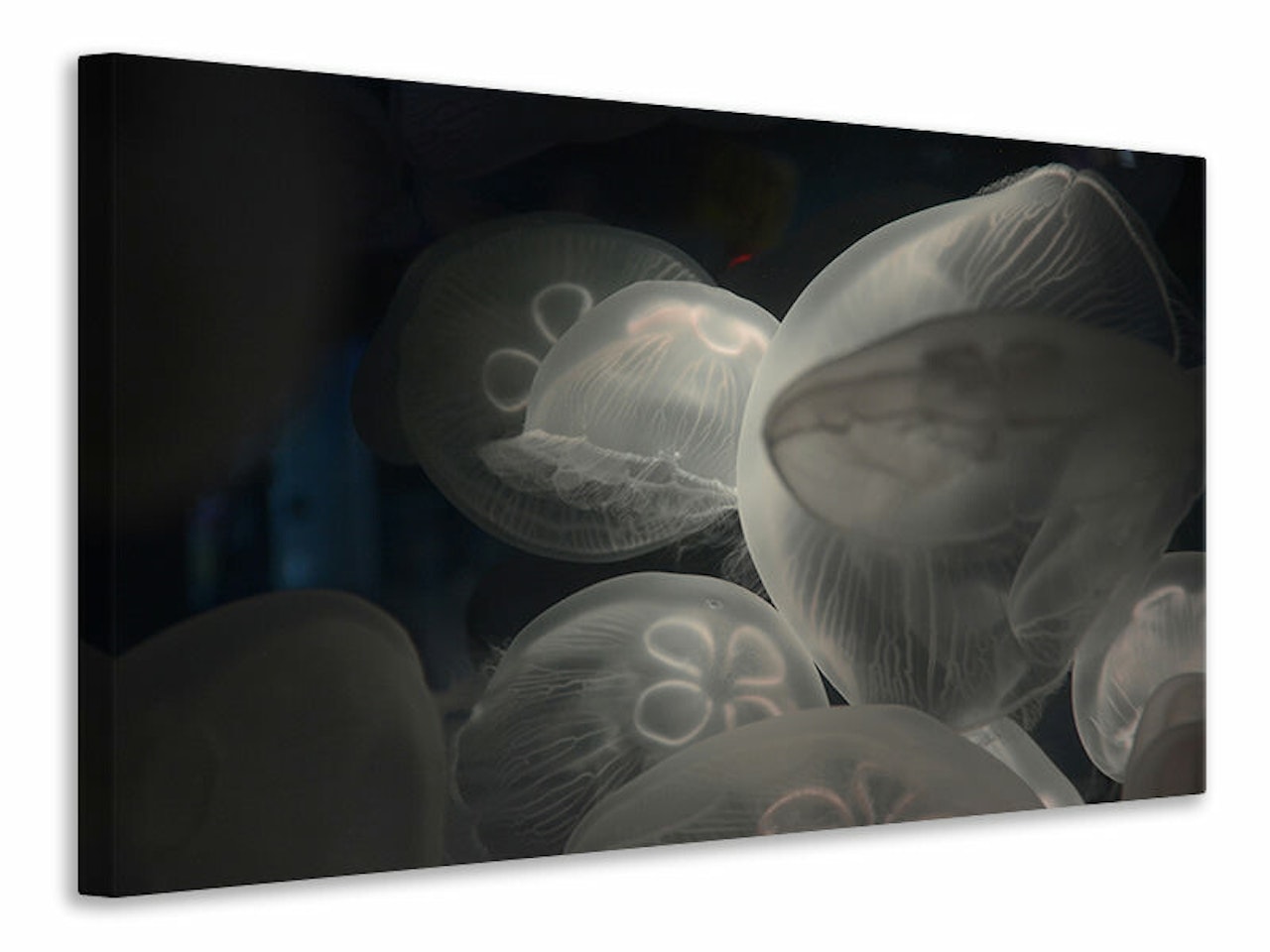 Ljuddämpande tavla - eerie jellyfish