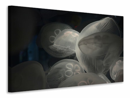 Ljuddämpande tavla - eerie jellyfish