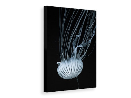 Ljuddämpande tavla - beware jellyfish