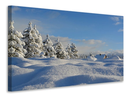 Ljuddämpande tavla - beautiful snow landscape
