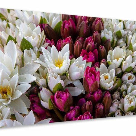 Ljuddämpande tavla - a bouquet of water lilies