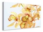 Ljuddämpande tavla - yellow orchid