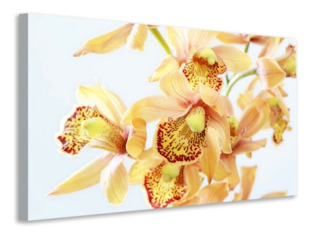 Ljuddämpande tavla - yellow orchid