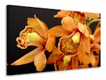 Ljuddämpande tavla - orchids with orange flowers