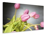 Ljuddämpande tavla - the tulip bouquet in pink
