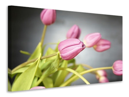 Ljuddämpande tavla - the tulip bouquet in pink