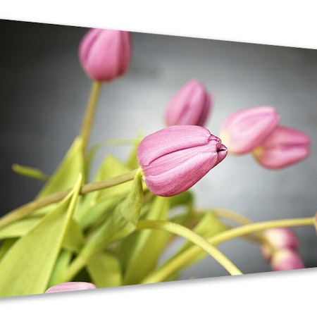 Ljuddämpande tavla - the tulip bouquet in pink