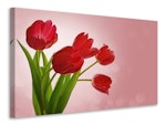 Ljuddämpande tavla - red tulips bouquet
