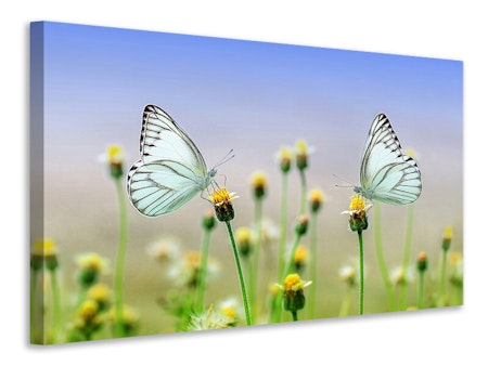 Ljuddämpande tavla - 2 butterflies