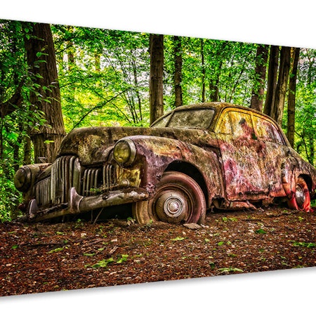 Ljuddämpande tavla - abandoned classic car