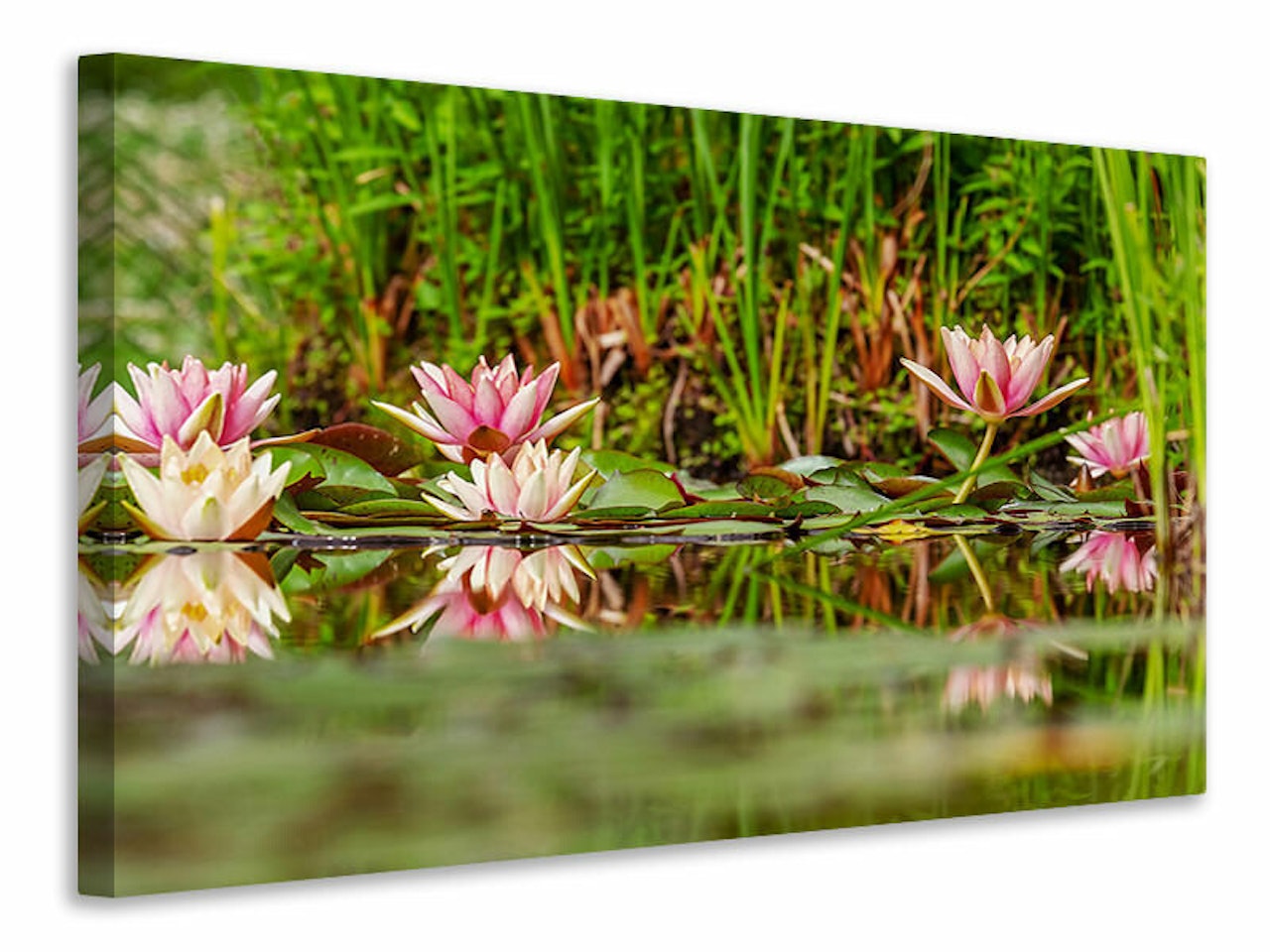 Ljuddämpande tavla - wild water lilies