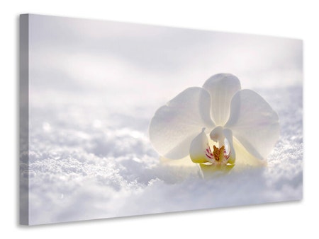 Ljuddämpande tavla - the orchids bloom