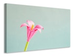 Ljuddämpande tavla - flowers origami