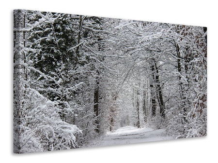 Ljuddämpande tavla - enchanted winter forest