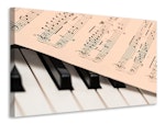 Ljuddämpande tavla - piano notes