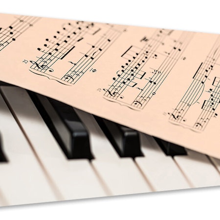 Ljuddämpande tavla - piano notes