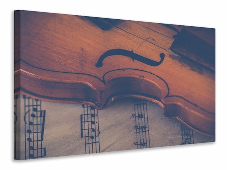 Ljuddämpande tavla - old violin