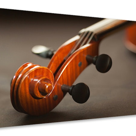 Ljuddämpande tavla - close up violin