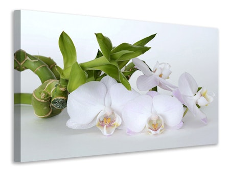 Ljuddämpande tavla - orchid and bamboo