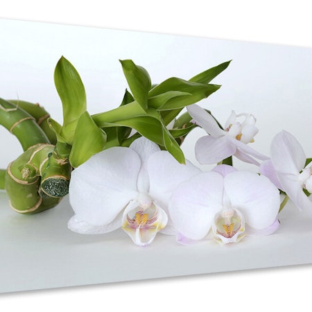 Ljuddämpande tavla - orchid and bamboo