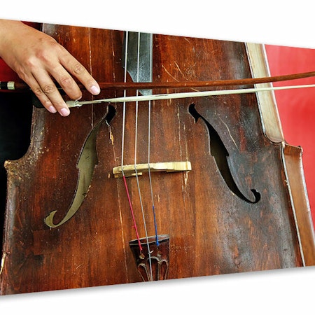 Ljuddämpande tavla - the cello