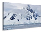 Ljuddämpande tavla - gigantic antarctic