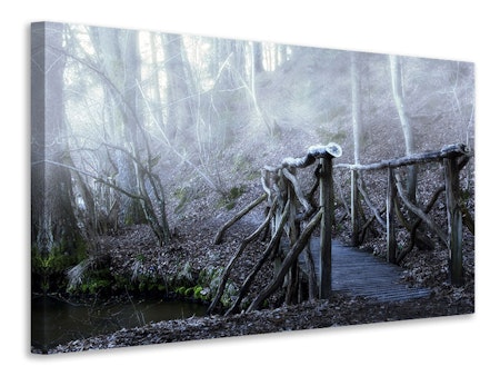 Ljuddämpande tavla - old wooden bridge in the forest
