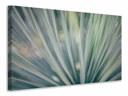 Ljuddämpande tavla - strip of plant